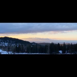 Meet your Posher, Billy